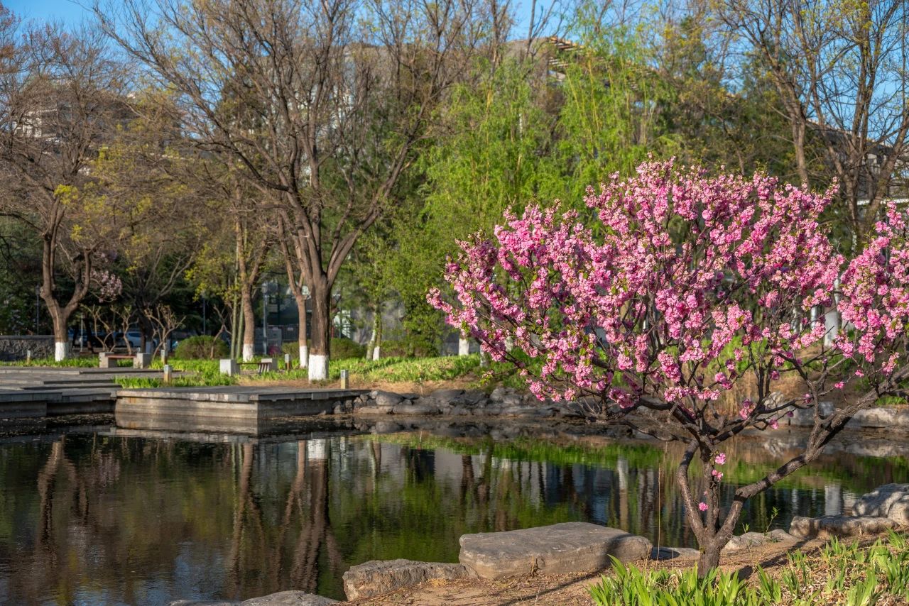 银娱优越会·GEG(中国)股份有限公司