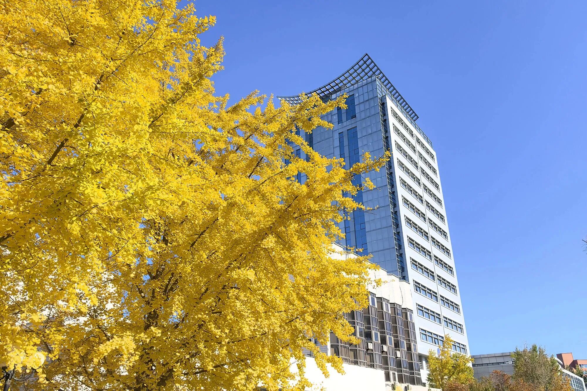 银娱优越会·GEG(中国)股份有限公司