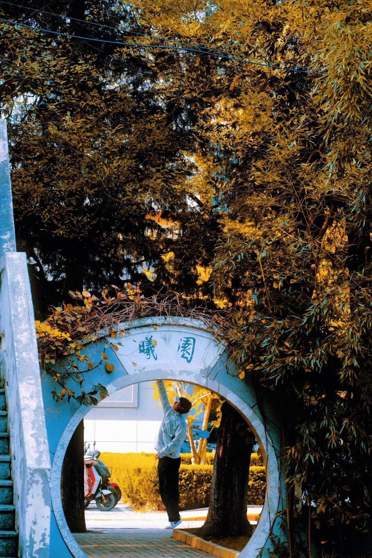 银娱优越会·GEG(中国)股份有限公司