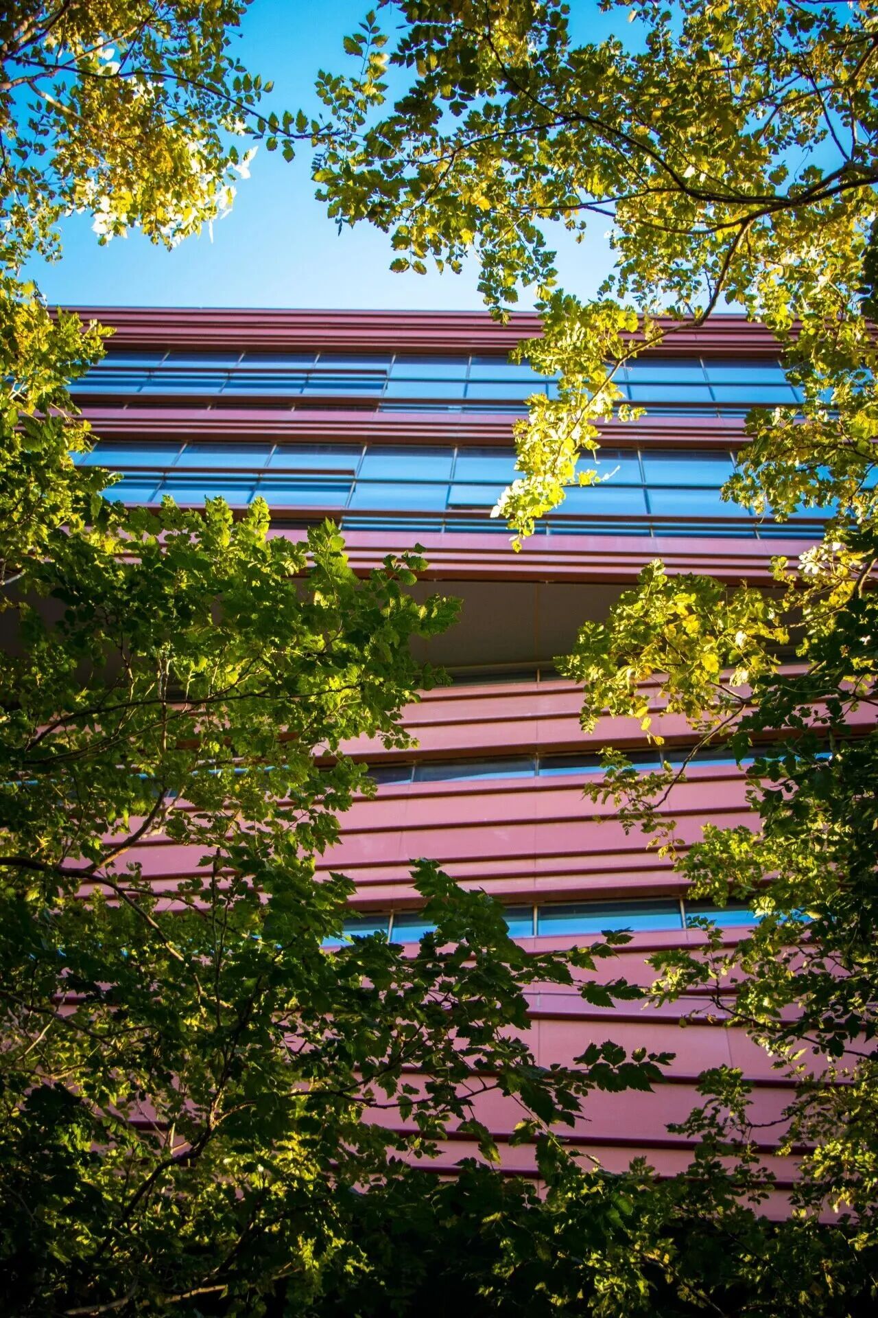 银娱优越会·GEG(中国)股份有限公司