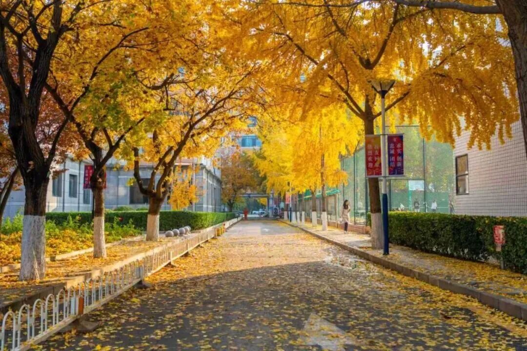 银娱优越会·GEG(中国)股份有限公司