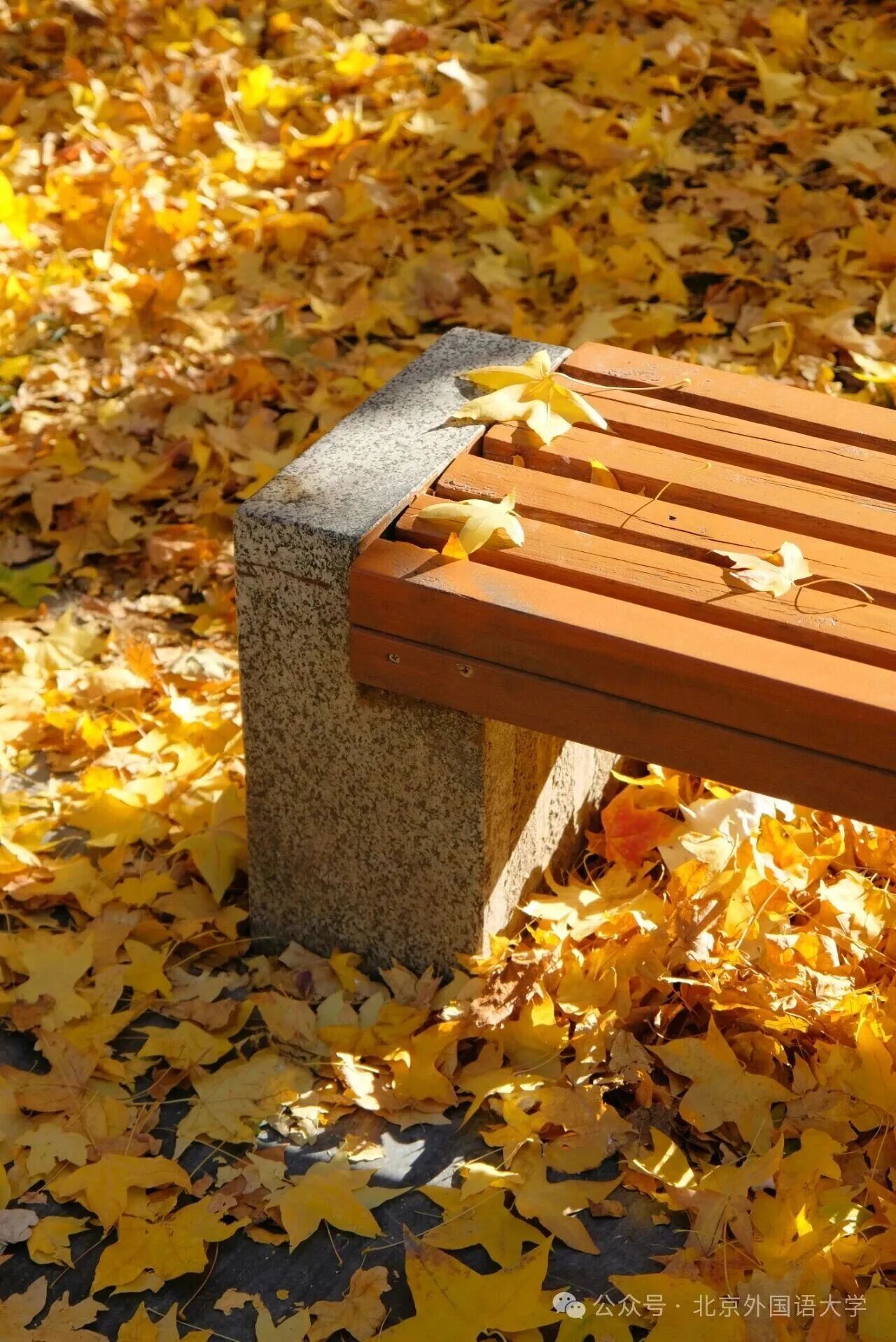 银娱优越会·GEG(中国)股份有限公司