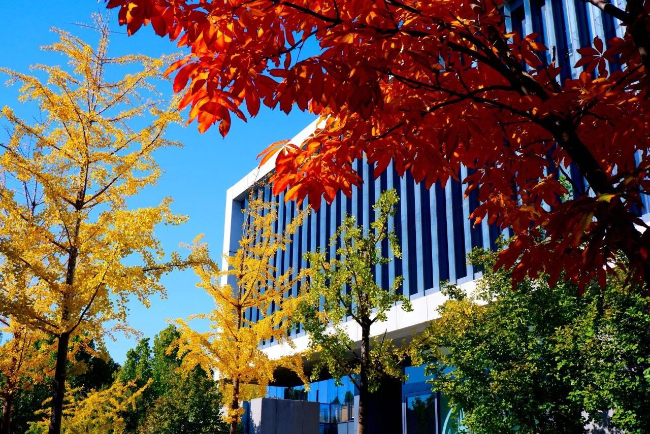 银娱优越会·GEG(中国)股份有限公司