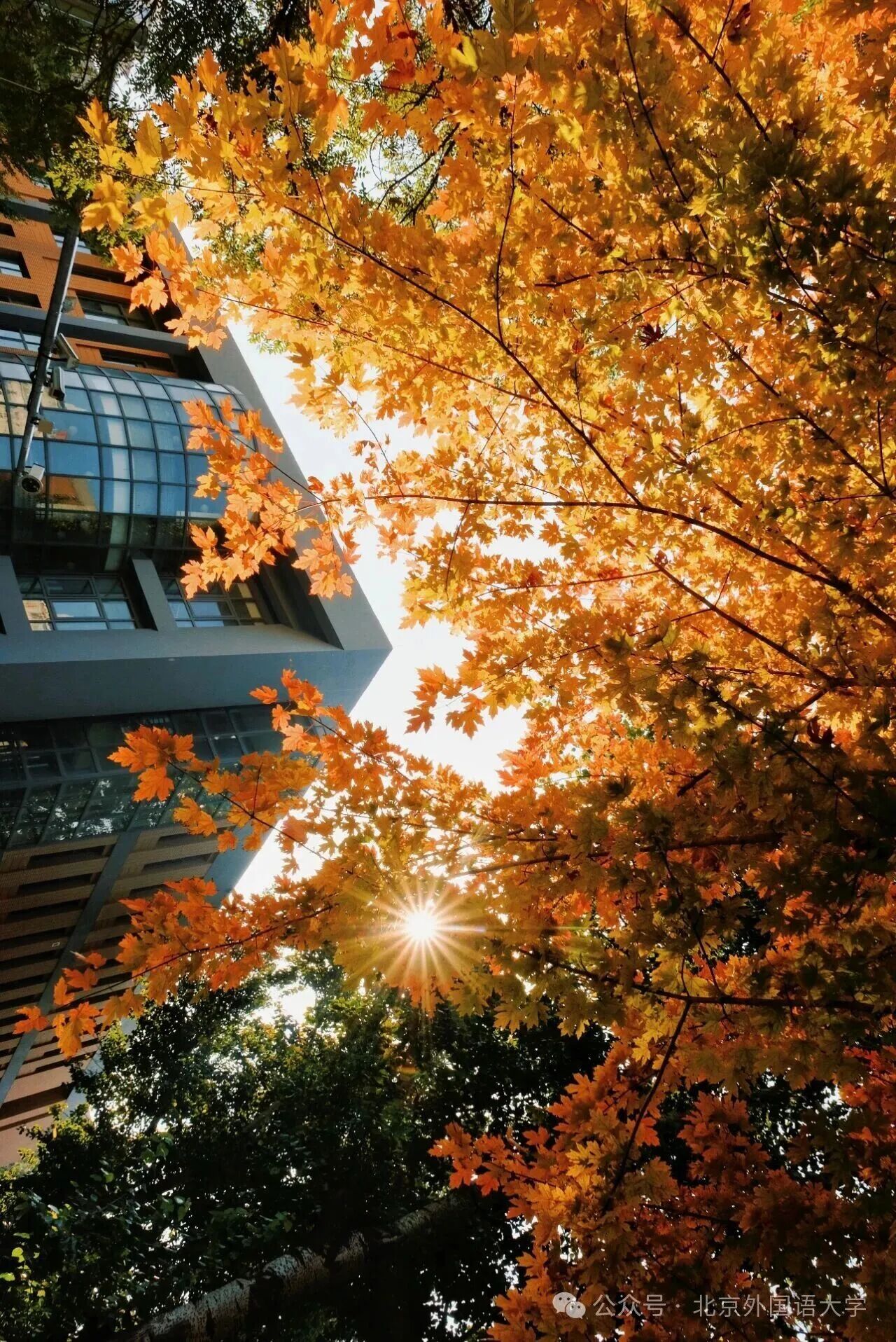 银娱优越会·GEG(中国)股份有限公司