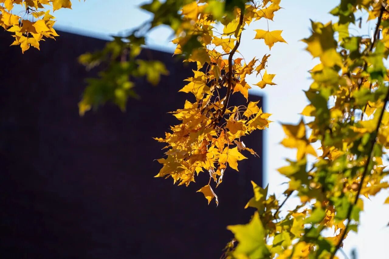 银娱优越会·GEG(中国)股份有限公司